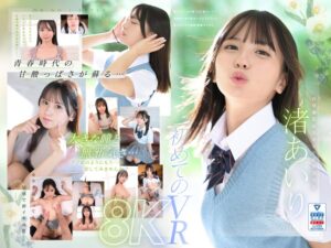 2024年6月のVR作品 ★4.17