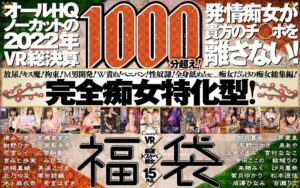 2022年12月のVR作品 ★3.00