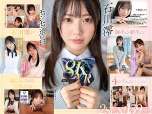 2024年6月のVR作品 ★4.60