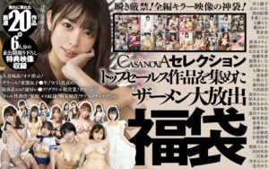 2023年12月のVR作品 ★4.00